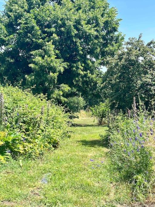 Beau Gite Dans Domaine Viticole & Arboricole Cursan Eksteriør billede